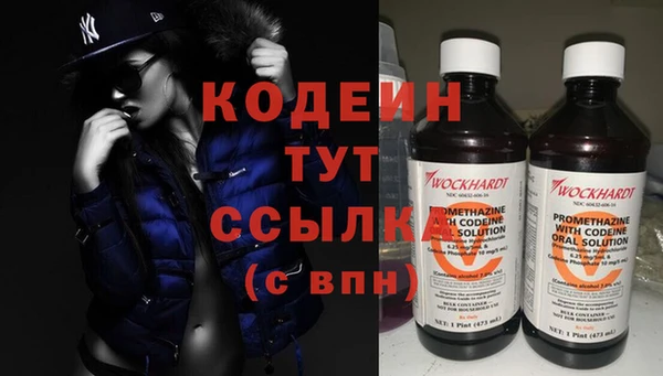 стаф Касимов