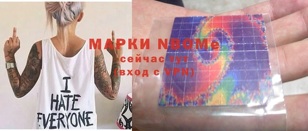 стаф Касимов