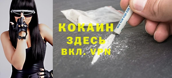 ГАЛЛЮЦИНОГЕННЫЕ ГРИБЫ Карталы