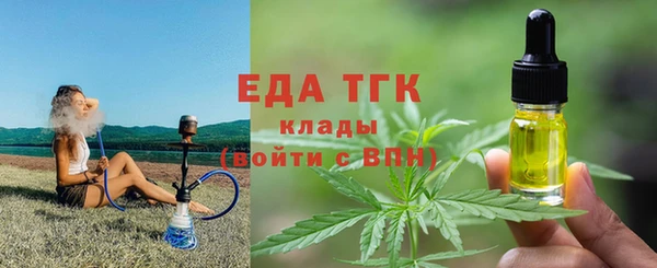 стаф Касимов