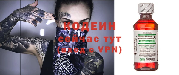 стаф Касимов