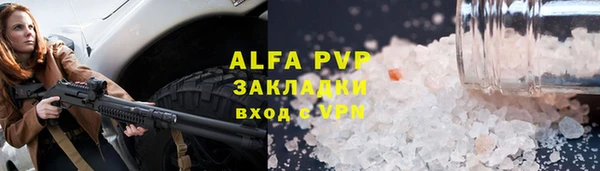 стаф Касимов