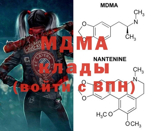 стаф Касимов