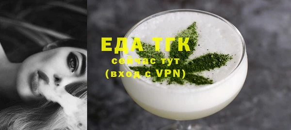 стаф Касимов