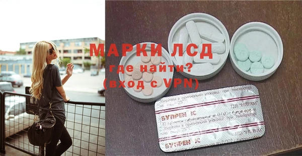 стаф Касимов