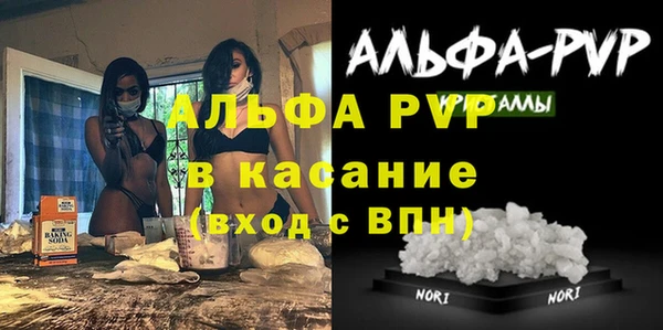 стаф Касимов