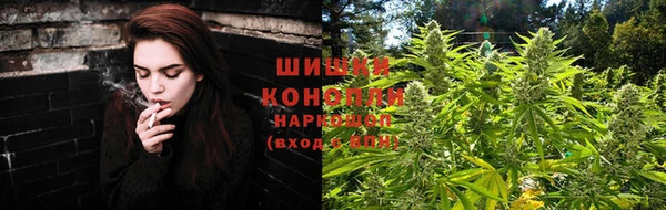 ГАЛЛЮЦИНОГЕННЫЕ ГРИБЫ Карталы
