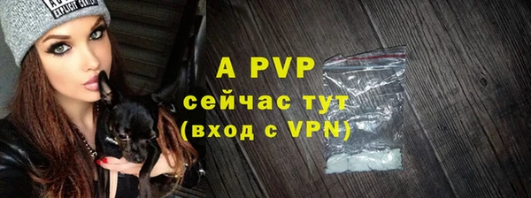 стаф Касимов