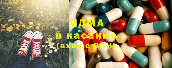 стаф Касимов