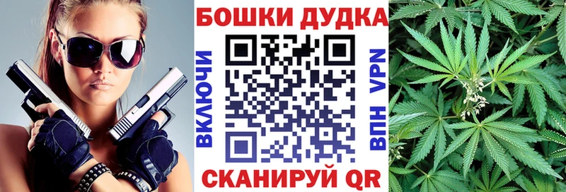 Купить  Дигора  Бошки Шишки ГИДРОПОН 